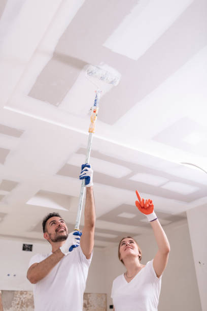 Best Residential Mold Inspection & Testing  in Henryetta, OK
