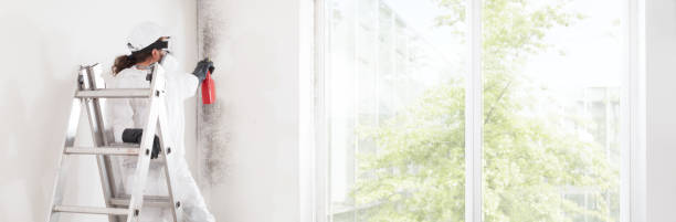 Best Air Quality Testing for Mold Spores  in Henryetta, OK