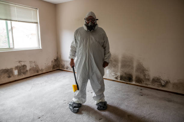 Best Mold Odor Removal Services  in Henryetta, OK